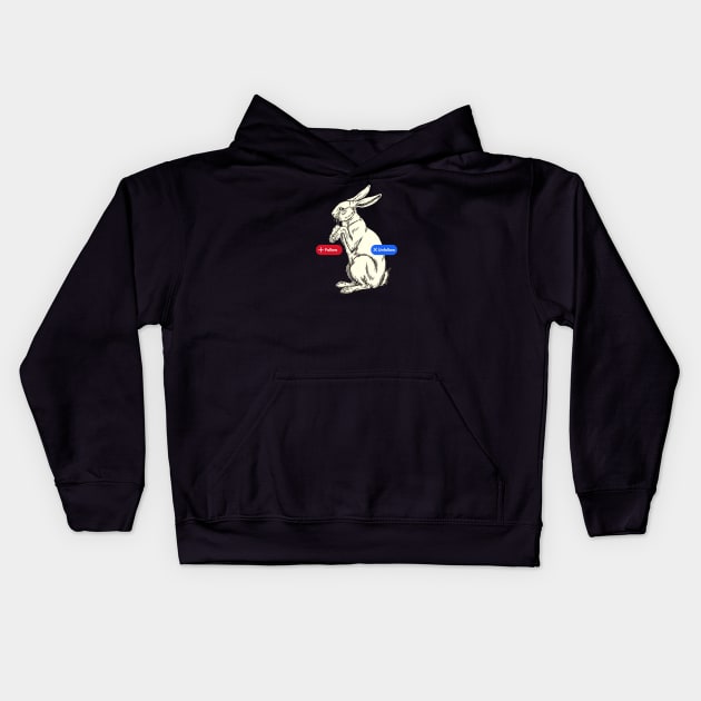 Follow/Unfollow the White Rabbit Kids Hoodie by sticks and bones vintage